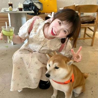 战地情莺
